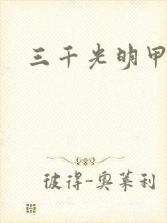 三千光明甲