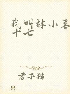 我叫林小喜今年十七