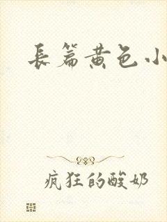 长篇黄色小说