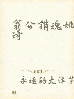 翁公销魂姚瑶琦琦封面