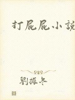 打屁屁小说