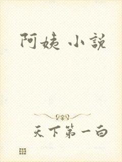 阿姨 小说