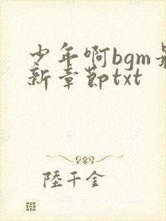 少年啊bgm最新章节txt