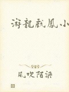 游龙戏凤小说封面