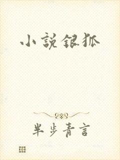 小说银狐