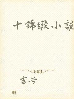 十锦缎小说
