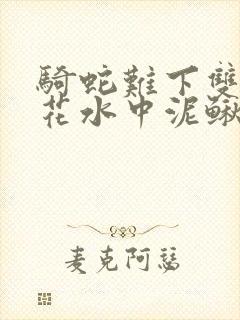 骑蛇难下双金银花水中泥鳅封面