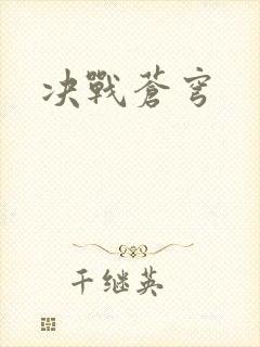 决战苍穹封面