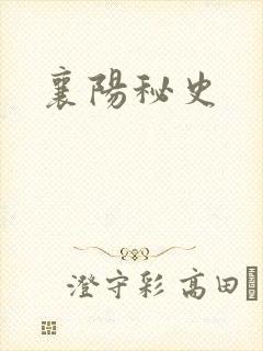 襄阳秘史