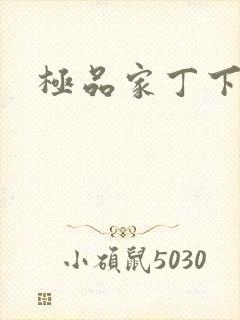 极品家丁下载