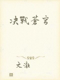决战苍穹封面