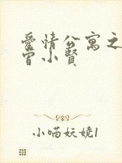 爱情公寓之极品曾小贤