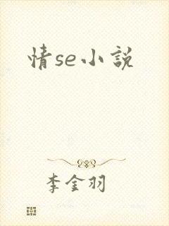 情se小说封面