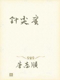 针尖蜜封面