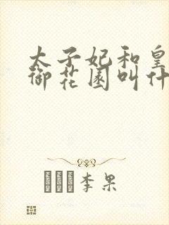 太子妃和皇帝在御花园叫什么小说