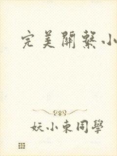 完美关系小说