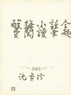 酸梅小说全文免费阅读笔趣阁封面