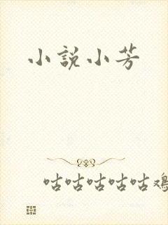 小说小芳