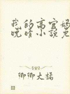 我的高官妈妈苏晚晴小说免费阅读