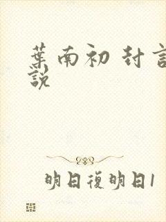 叶南初 封言小说