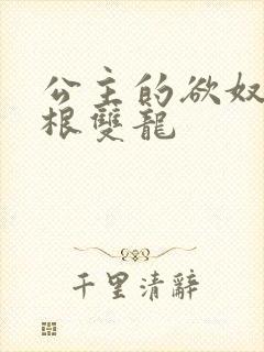 公主的欲奴h四根双龙封面