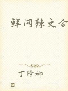 鲜网辣文合集封面