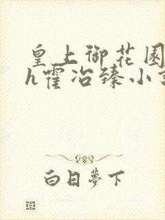 皇上御花园hlh霍冶臻小说