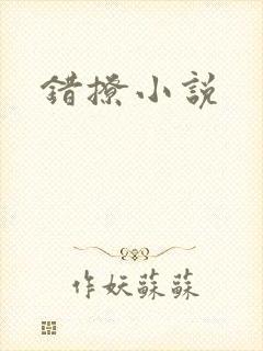 错撩小说