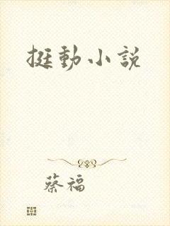 挺动小说