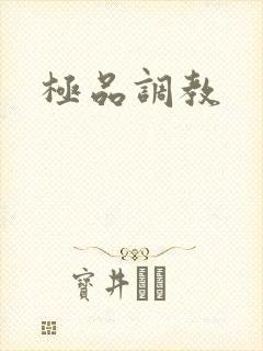 极品调教