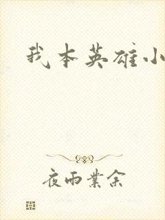 我本英雄小说