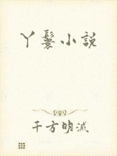 丫鬟小说