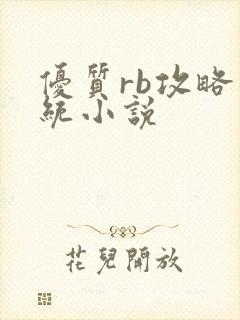 优质rb攻略系统小说