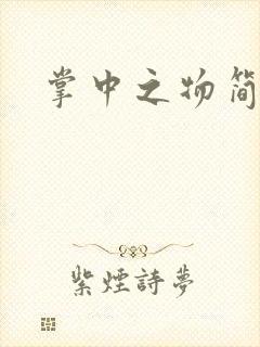 掌中之物简介封面