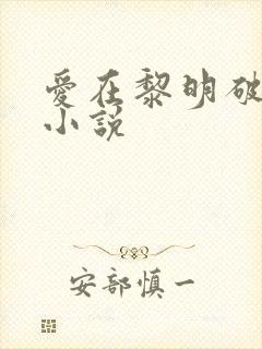 爱在黎明破晓前小说