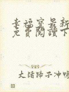 幸福宝最新章节免费阅读下载