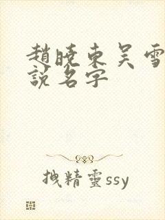 赵晓东吴雪晴小说名字