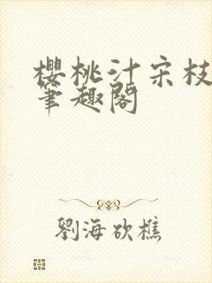 樱桃汁宋枝江野笔趣阁封面