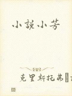 小说小芳