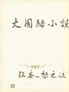 大团结小说下载