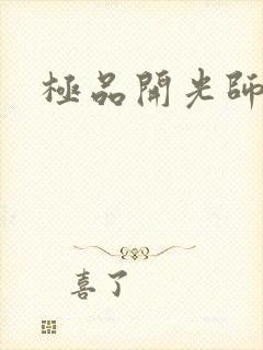 极品开光师