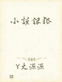 小说银狐