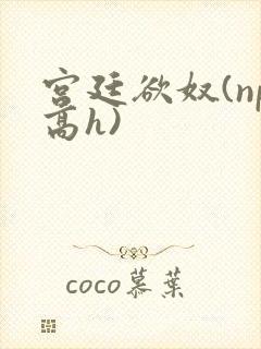 宫廷欲奴(np高h)