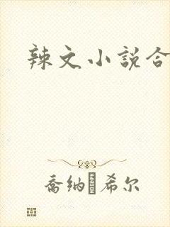 辣文小说合集封面