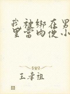 我被绑在男公厕里当肉便小说封面