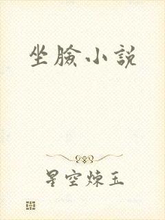 坐脸小说