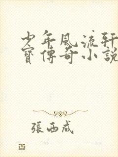 少年风流轩辕大宝传奇小说