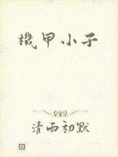 机甲小子
