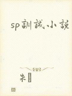 sp训诫小说