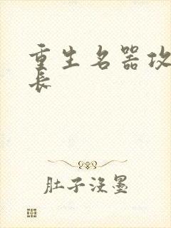 重生名器攻略兄长封面